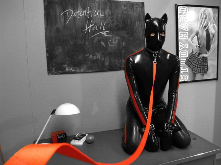 Taz recommend best of latex puppy