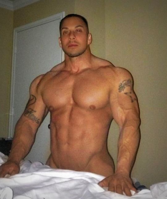best of Bull beefy muscle
