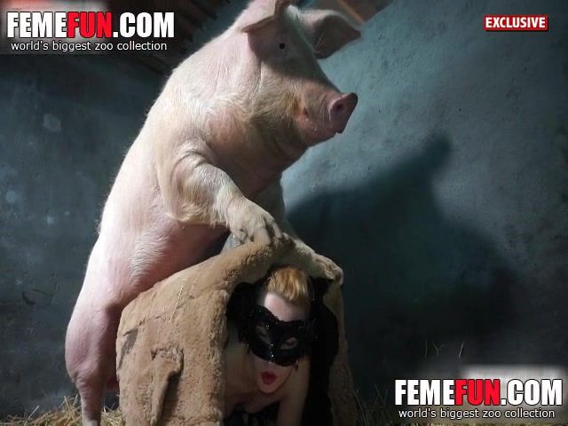 best of Pig sex woman cynese