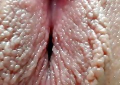 Close up white pussy