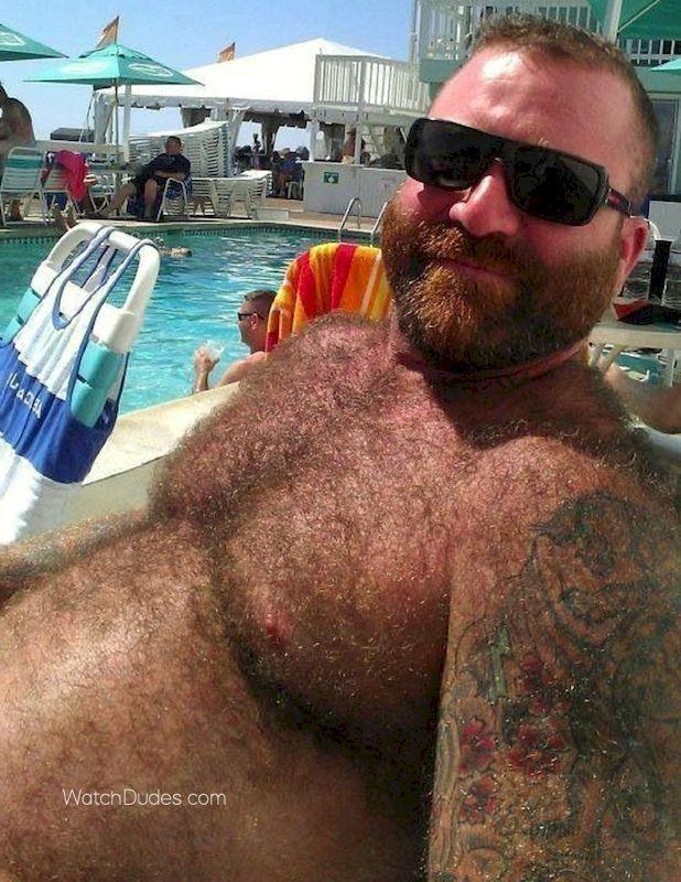 Chubby bears guys nude
