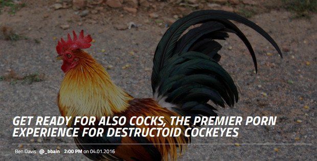 best of Chicken Jugle cock