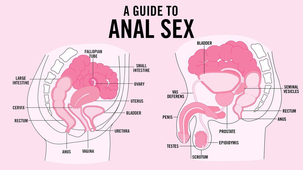 best of Gay Anal diagram