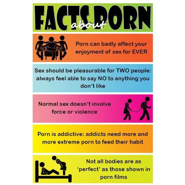 best of Fun system about Five facts the digestive