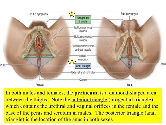 Men and women with both sex organs