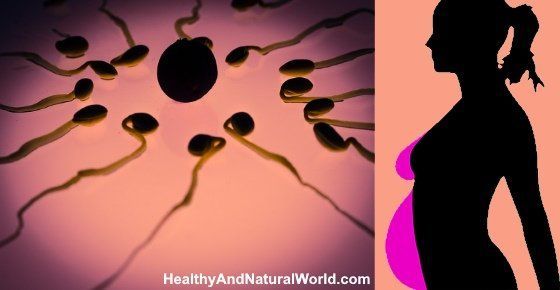 best of Outside sperm womb of Lifespan