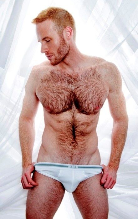 best of Male ginger